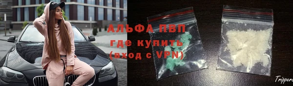 сатива Алексин