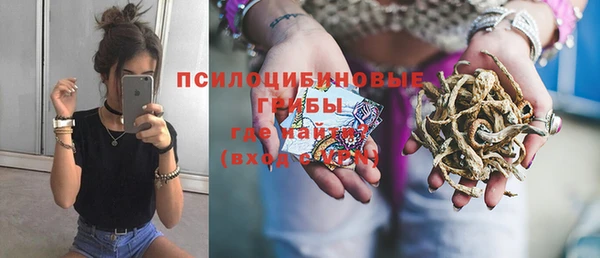 mix Арсеньев